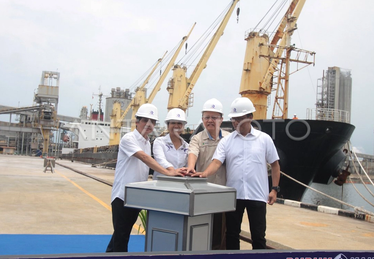 India Cari Pupuk Amidun & Urea Tengah Konflik Teluk