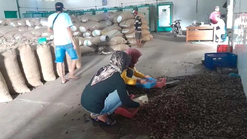 India Minta RI Genjot Ekspor Kacang Mete dan Pinang Lewat BRICS
