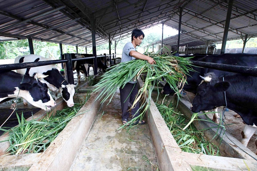 Indonesia Dapat 18 Pengecualian Tarif AS, 10% Khusus