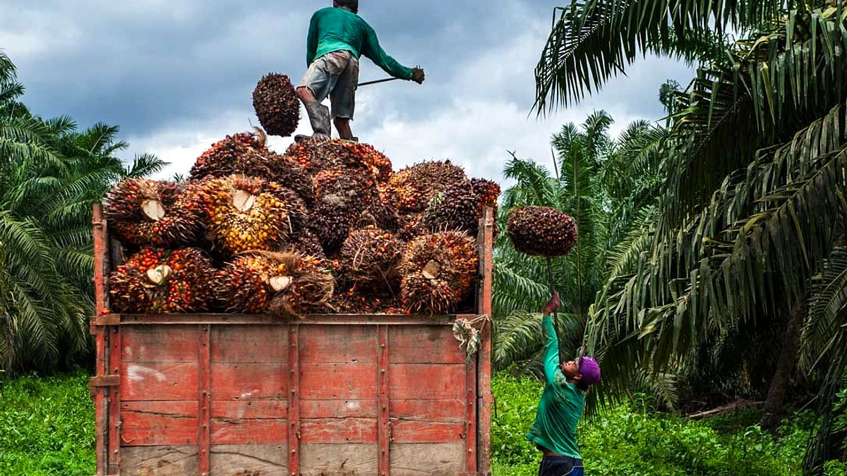 Indonesia di Tarif Impor 10% AS, Budi Tegaskan Dinamika