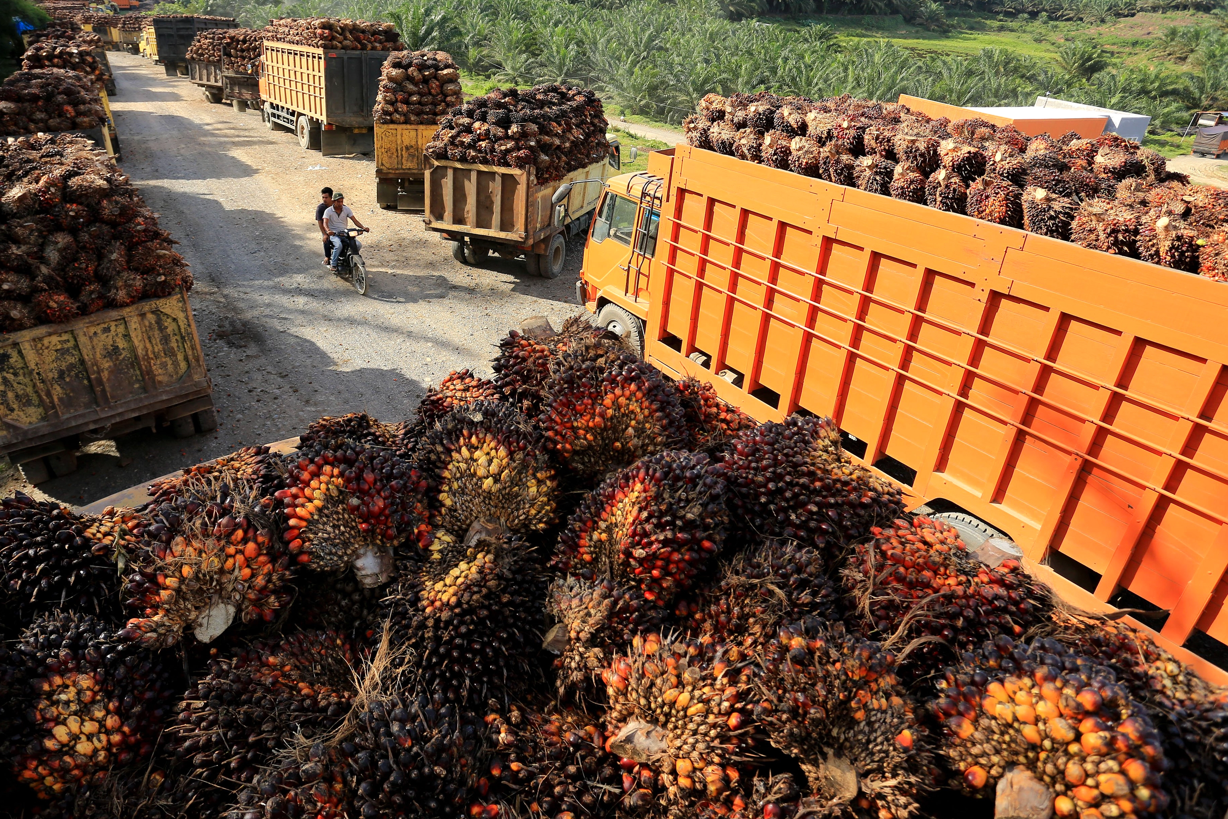 Indonesia Raih Devisa Rp 1.100 Triliun dari 3 Komoditas