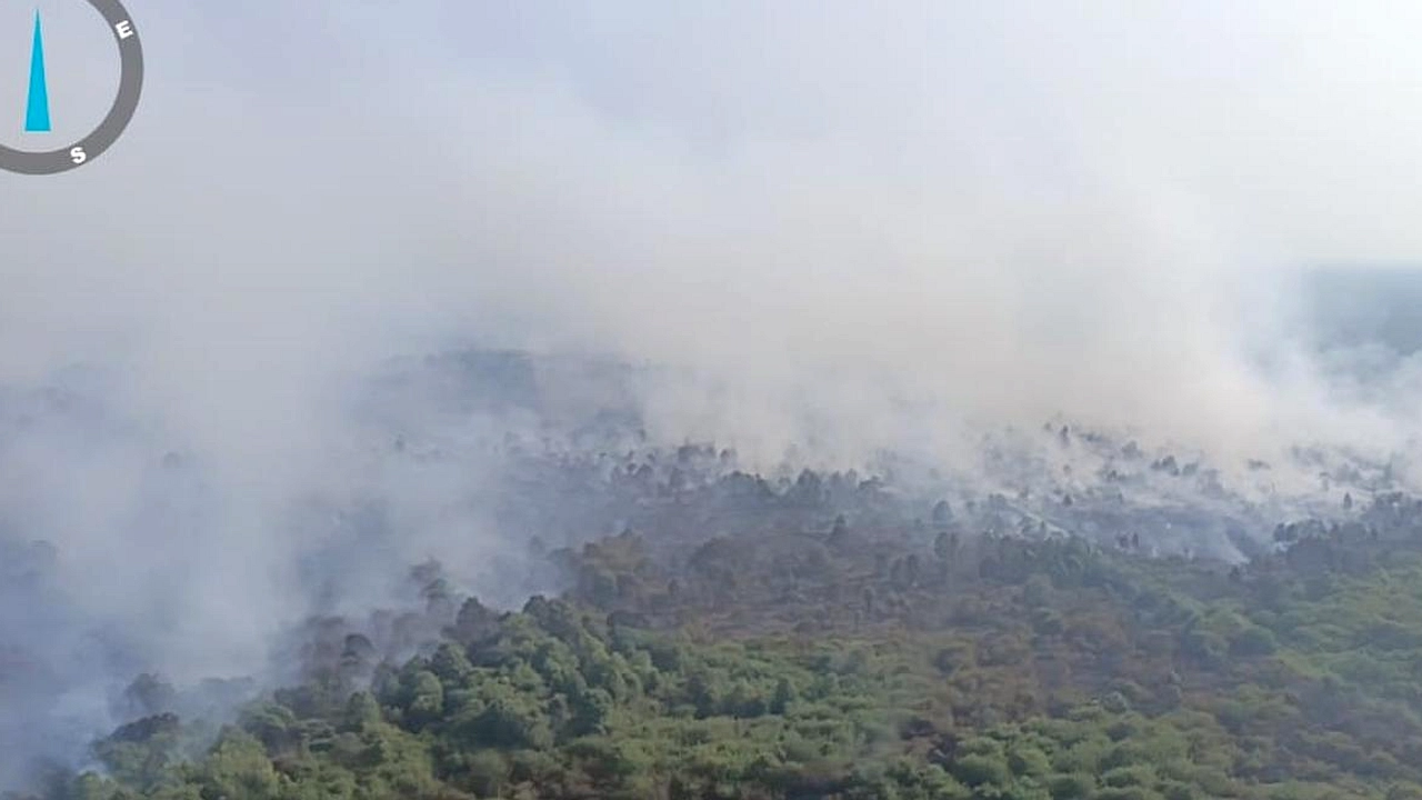 Jambi Luncurkan Operasi Hujan Buatan untuk Hindari Karhutla