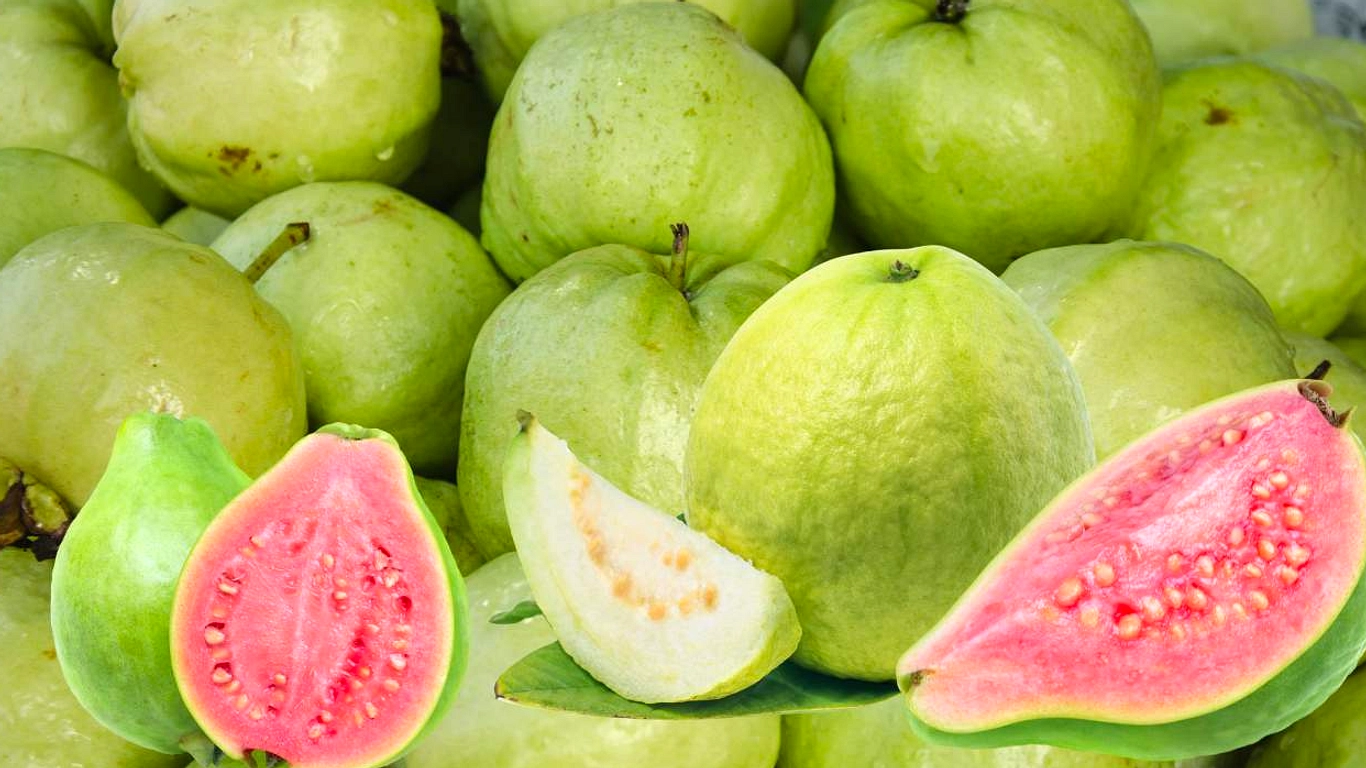 Jambu Biji Punya Vitamin C 4 Kali Lebih Tinggi dari Jeruk