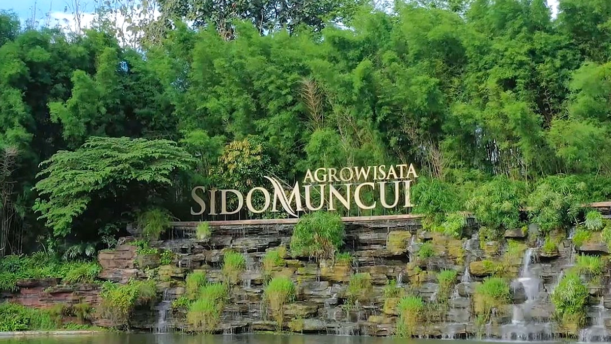 Jamu Jadi Andalan Baru Wisata Kesehatan RI