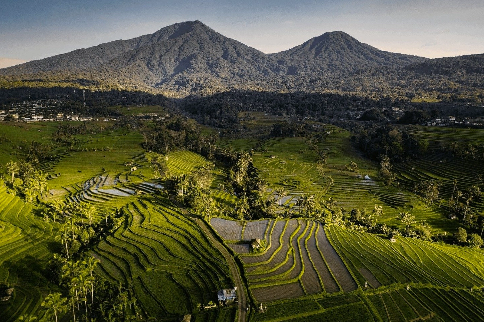 Jatiluwih: Turis Asia Domestik Naik, Barat Turun Pasar Konflik
