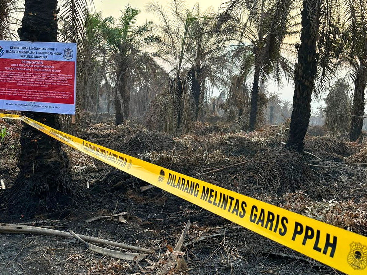 JAWA Terima Sanksi Karhutla, Manajemen Pastikan Produksi Tetap Normal