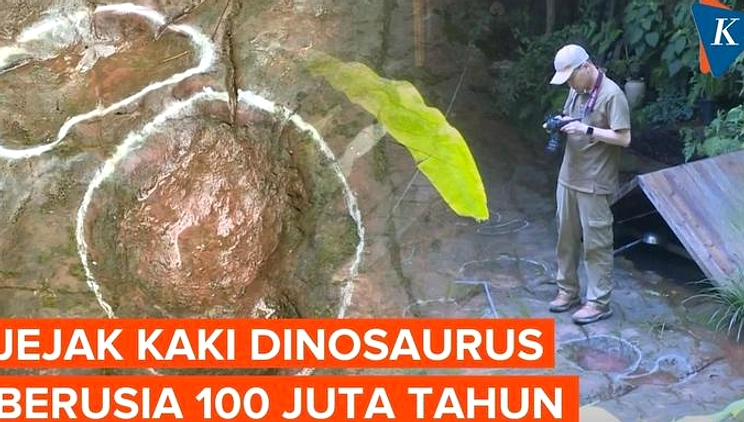 Jejak Kaki Dinosaurus Raksasa Berputar Ditemukan