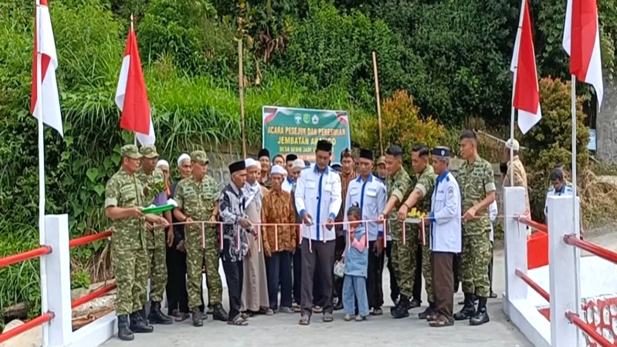 Jembatan Miring di Aceh, Menteri PU Turun ke Sungai Cek Struktur