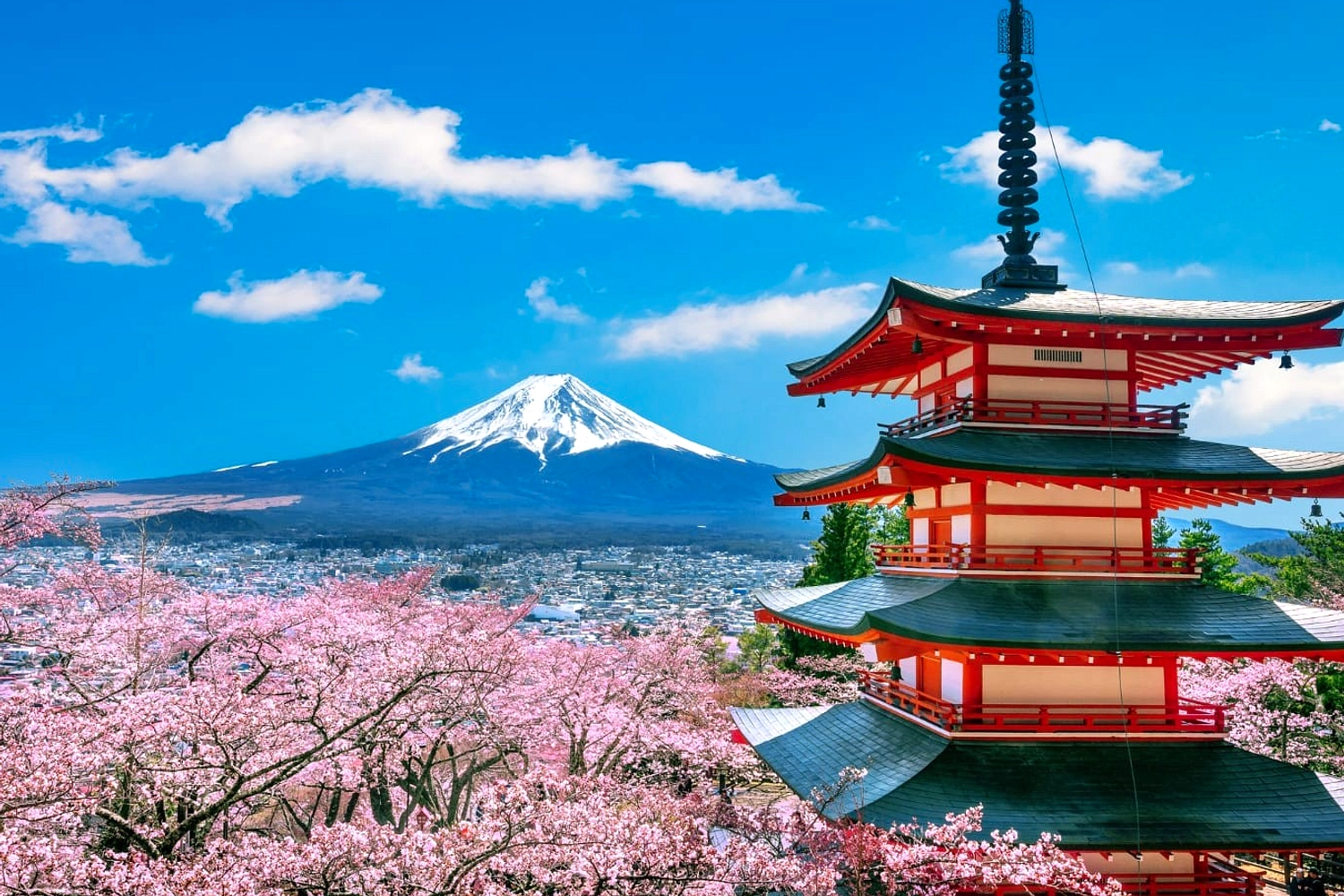 Jepang Naik 17% Turis Internasional Asia, Laporan UN 2026