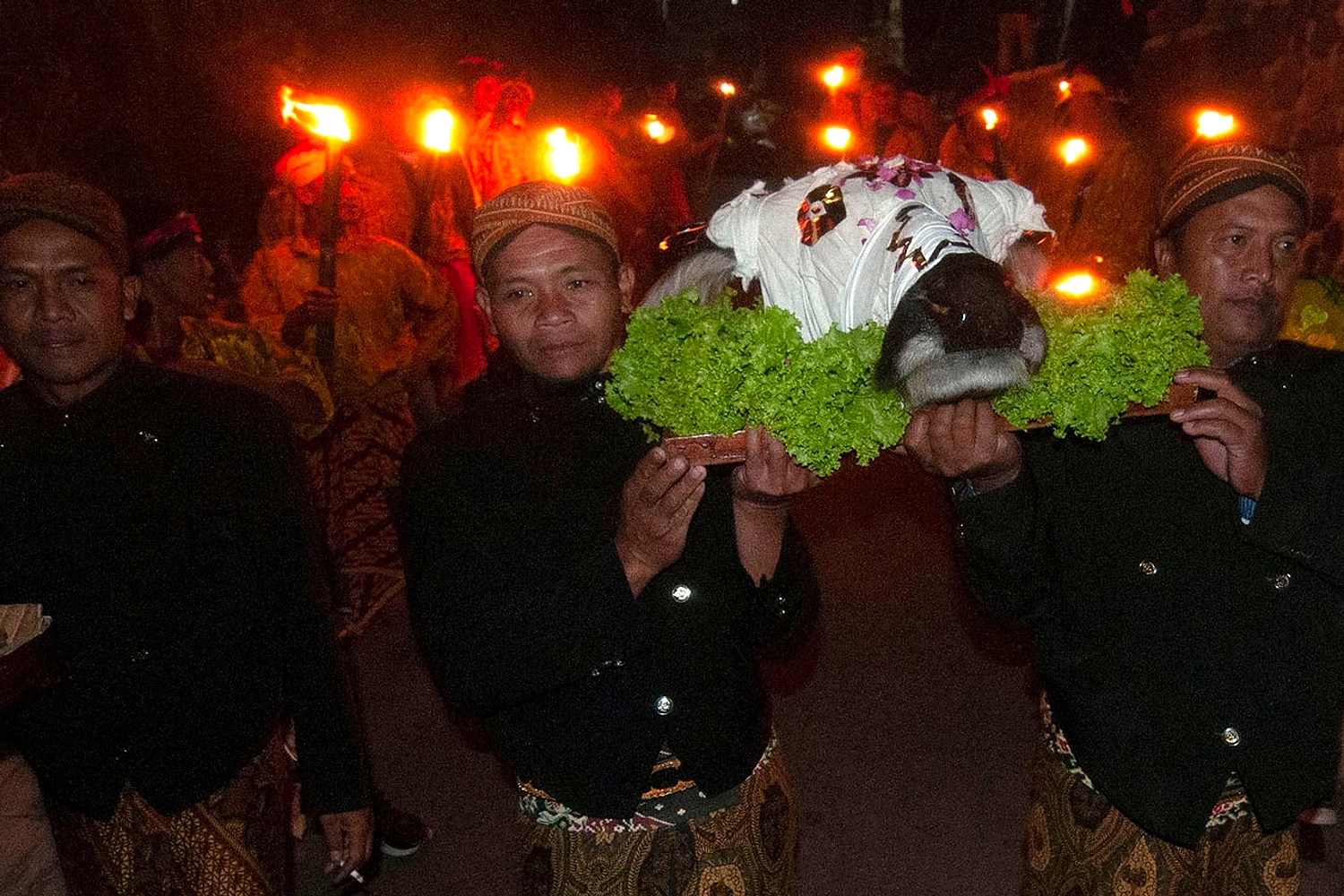 Jokowi Injak Kepala Kerbau, Tradisi Lampung Tuai Perdebatan