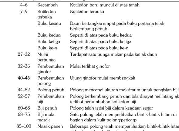 Kacang Arab Bisa Tumbuh di Tanah Tiruan Bulan