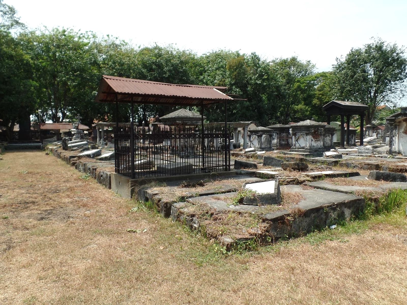 Kampung Peneleh: Surga Sejarah di Tengah Surabaya