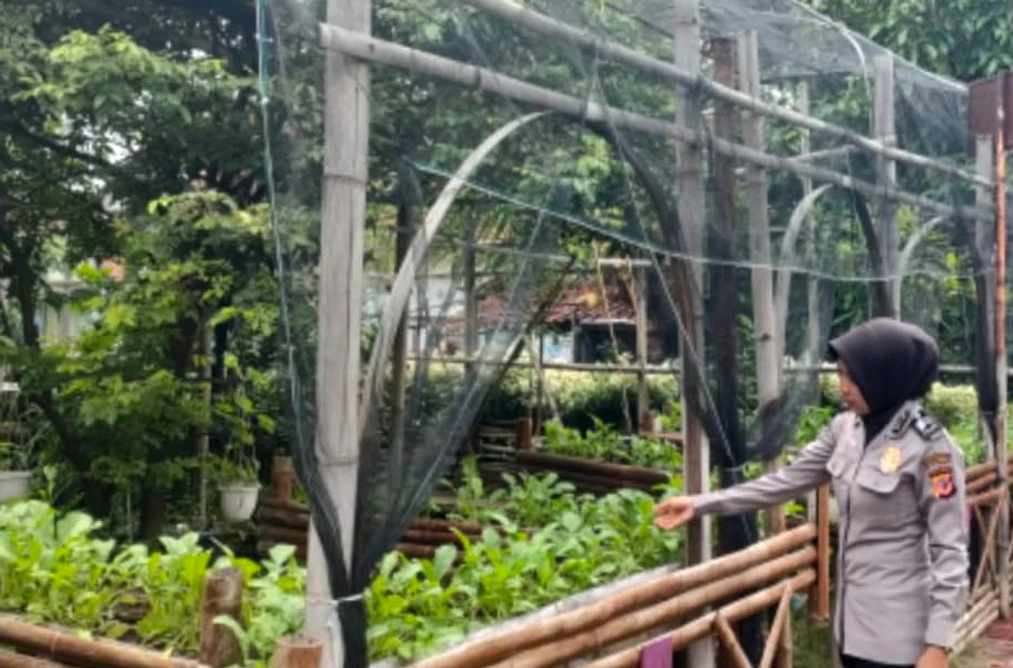 Kapolres Gianyar Pantau Lahan Polsek Ubud untuk Pangan