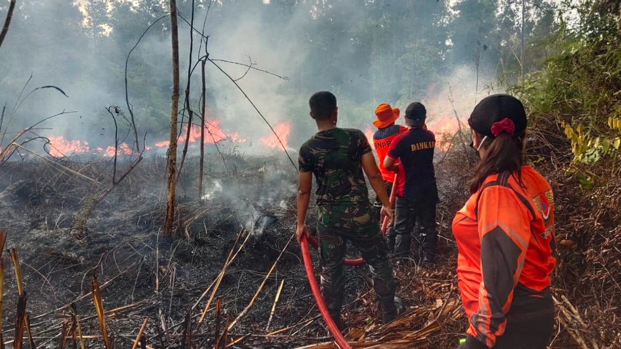 Karhutla Indonesia Melonjak 1.779% di Awal 2026