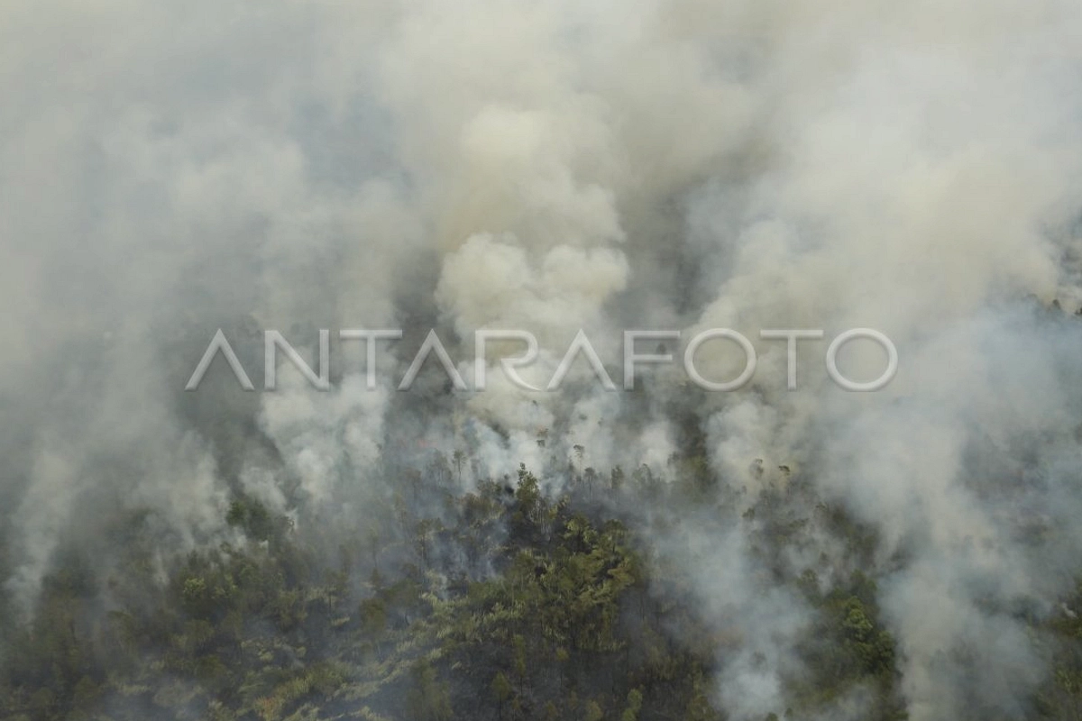Karhutla Ogan Ilir Padam, 10 Hektare Terbakar, Hujan Terbantu