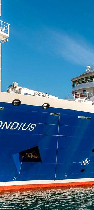 Kasus Hantavirus MV Hondius: Leo Schilperoord, Ornitolog Belanda
