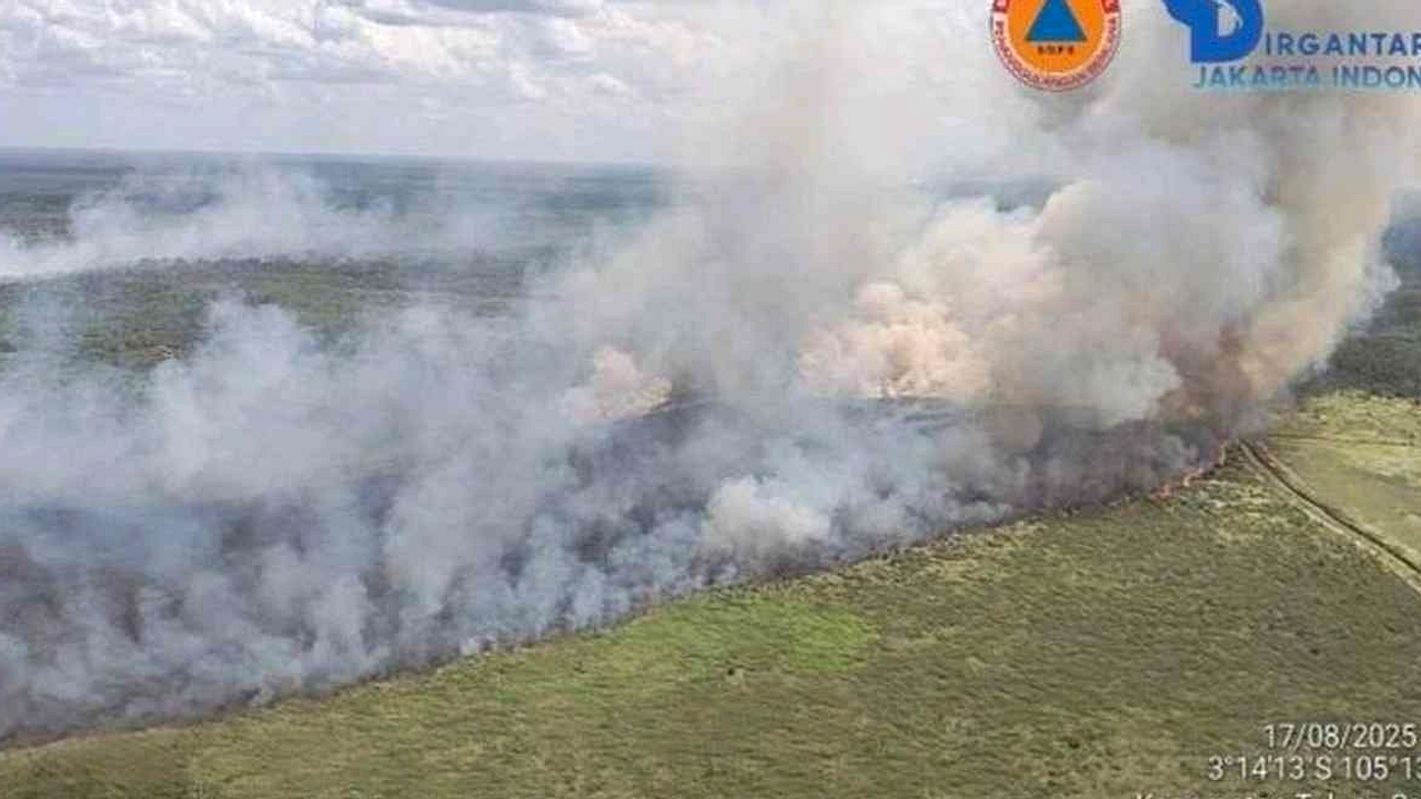 Kebakaran Hutan Landa Perbatasan Palembang-Banyuasin