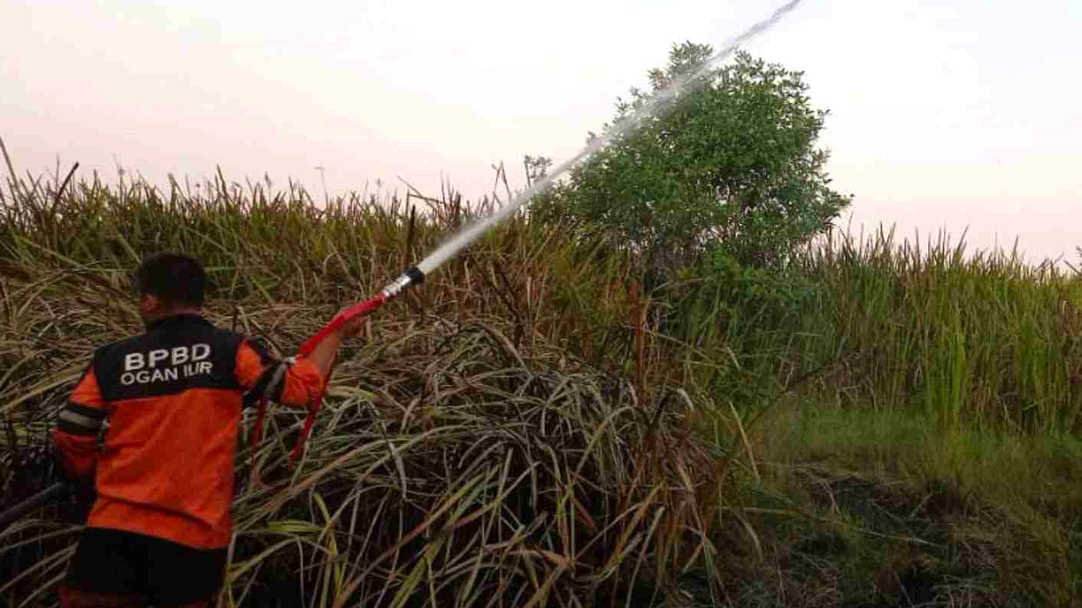Kebakaran Hutan Ogan Ilir Hanguskan 15 Hektare