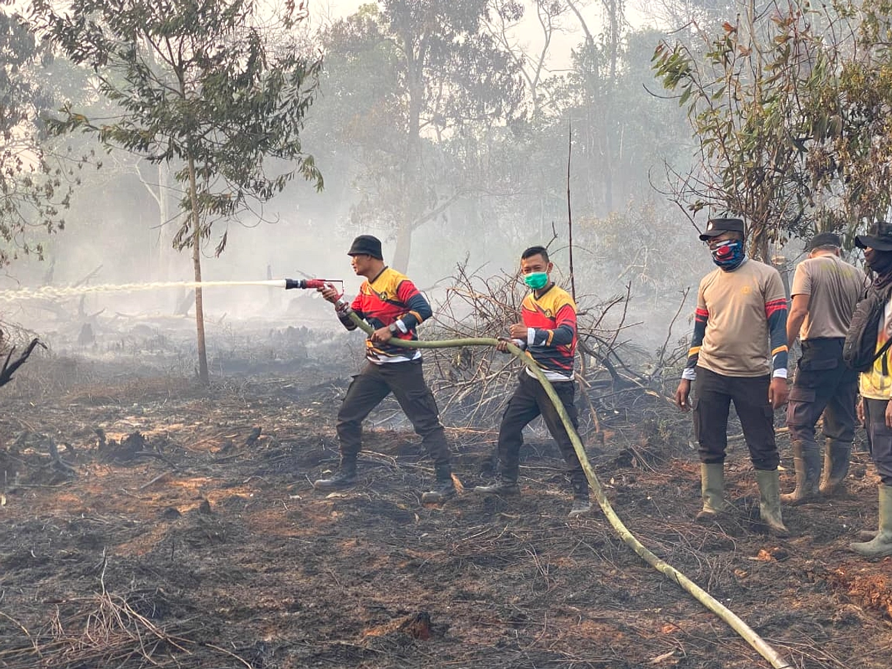 Kebakaran Hutan Satu Hektare di Muara Enim