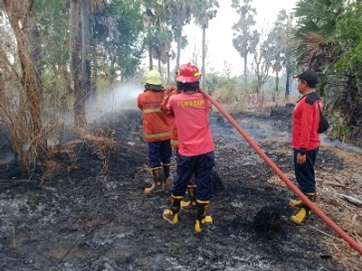 Kebakaran Lahan Karangasem: Kerjasama Lembaga Diperlukan