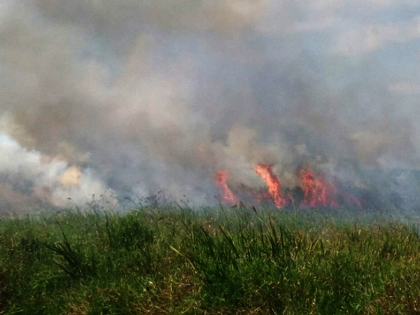 Kebakaran Lahan Landa 12 Hektare di Sumsel