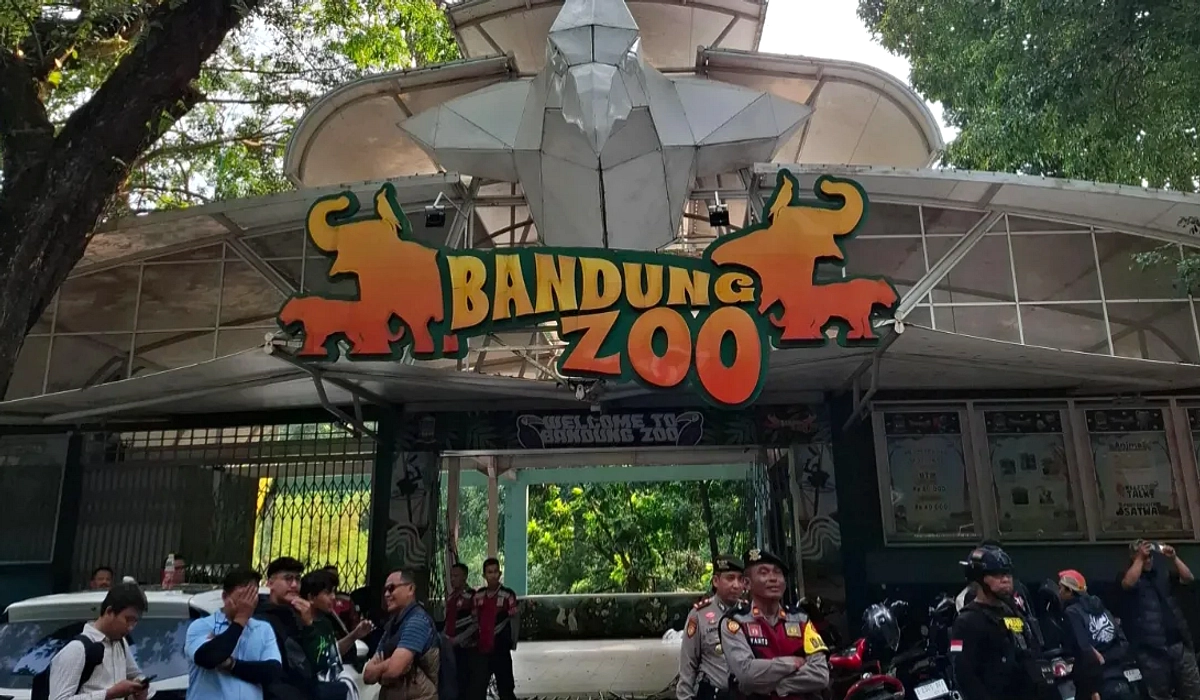 Kebun Binatang Bandung: Lelang Gagal, KSP Jadi Titik Fokus