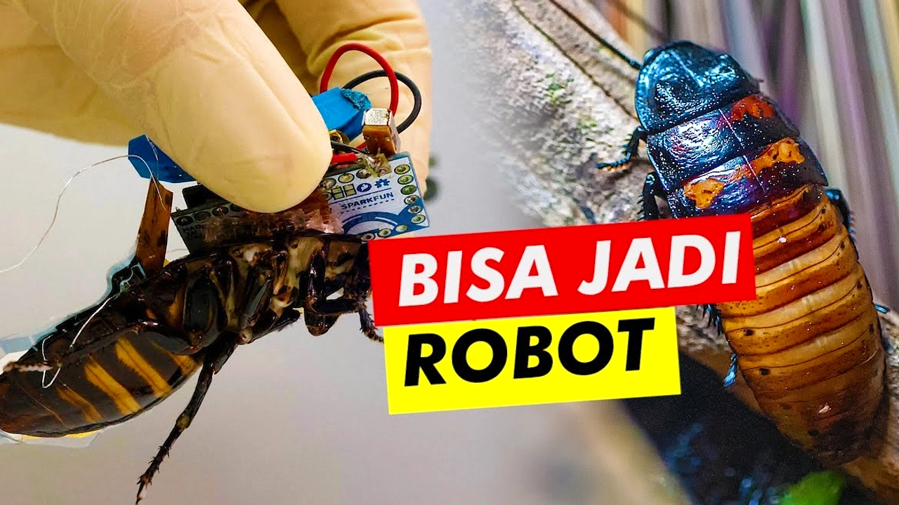 Kecoa Cyborg Dilengkapi Baju Selam Tahan Air 3 Jam