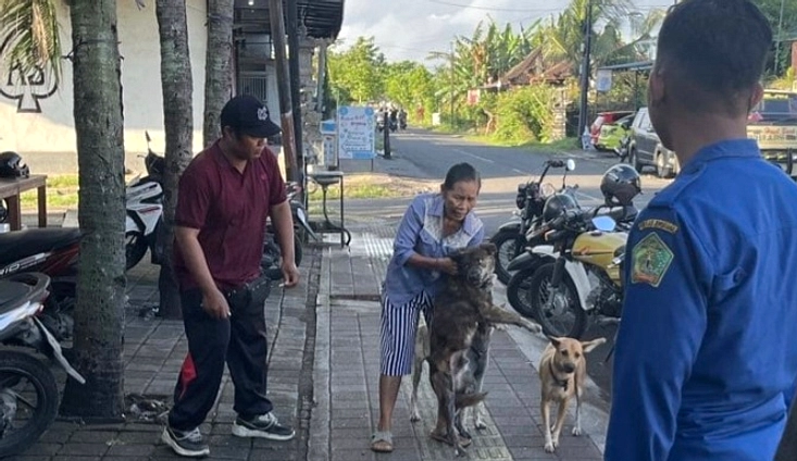 Kematian Ibu Jembrana, Kasus Rabies Pertama di Bali