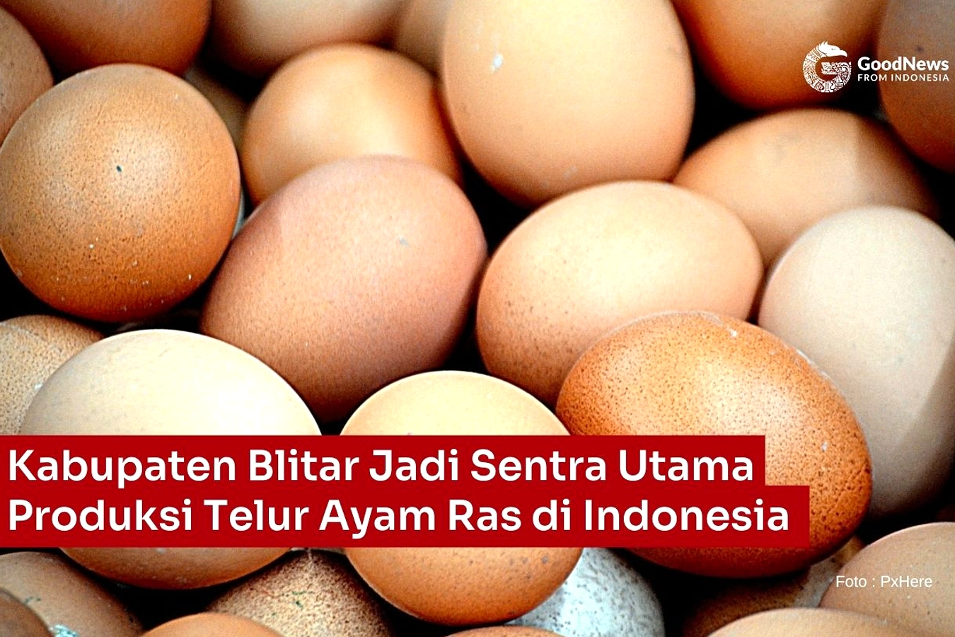 Kemendag Jajaki Ekspor Telur ke Singapura