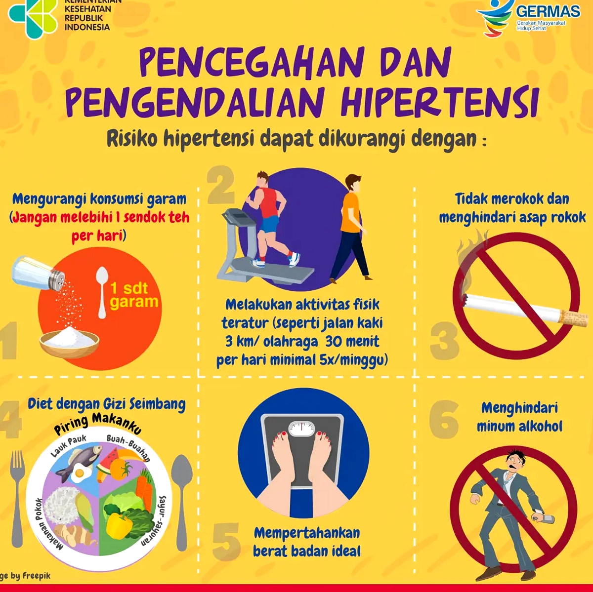 Kemenkes Waspada Hantavirus dari Kapal Pesiar MV Hondius