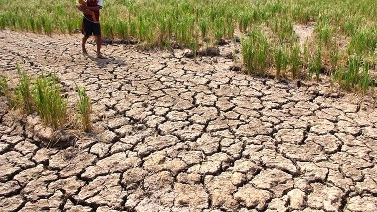 Kenaikan Harga Minyak Mencuat, Konsumen Tuntut Regulasi