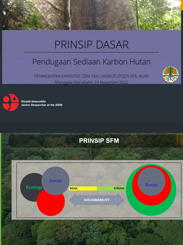 Kepercayaan Kunci Harga Premium Karbon Hutan