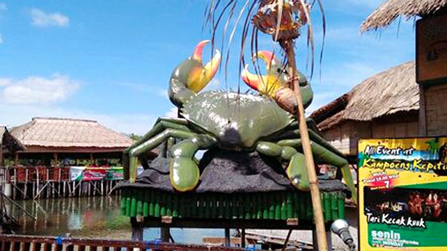 Kepiting Jalan Menyamping: Evolusi Leluhur 200 Juta Tahun