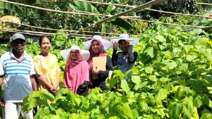Keracunan 7 Orang di Mamuju, Satu Balita Terdampak Pada