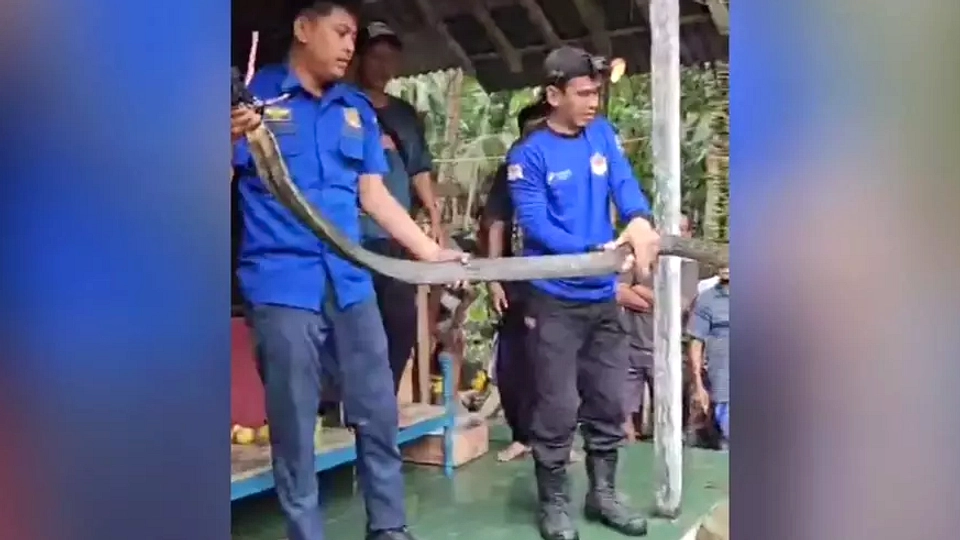 Kereta Api Banjar-Cijulang: Cagar Budaya Penting Berbisa