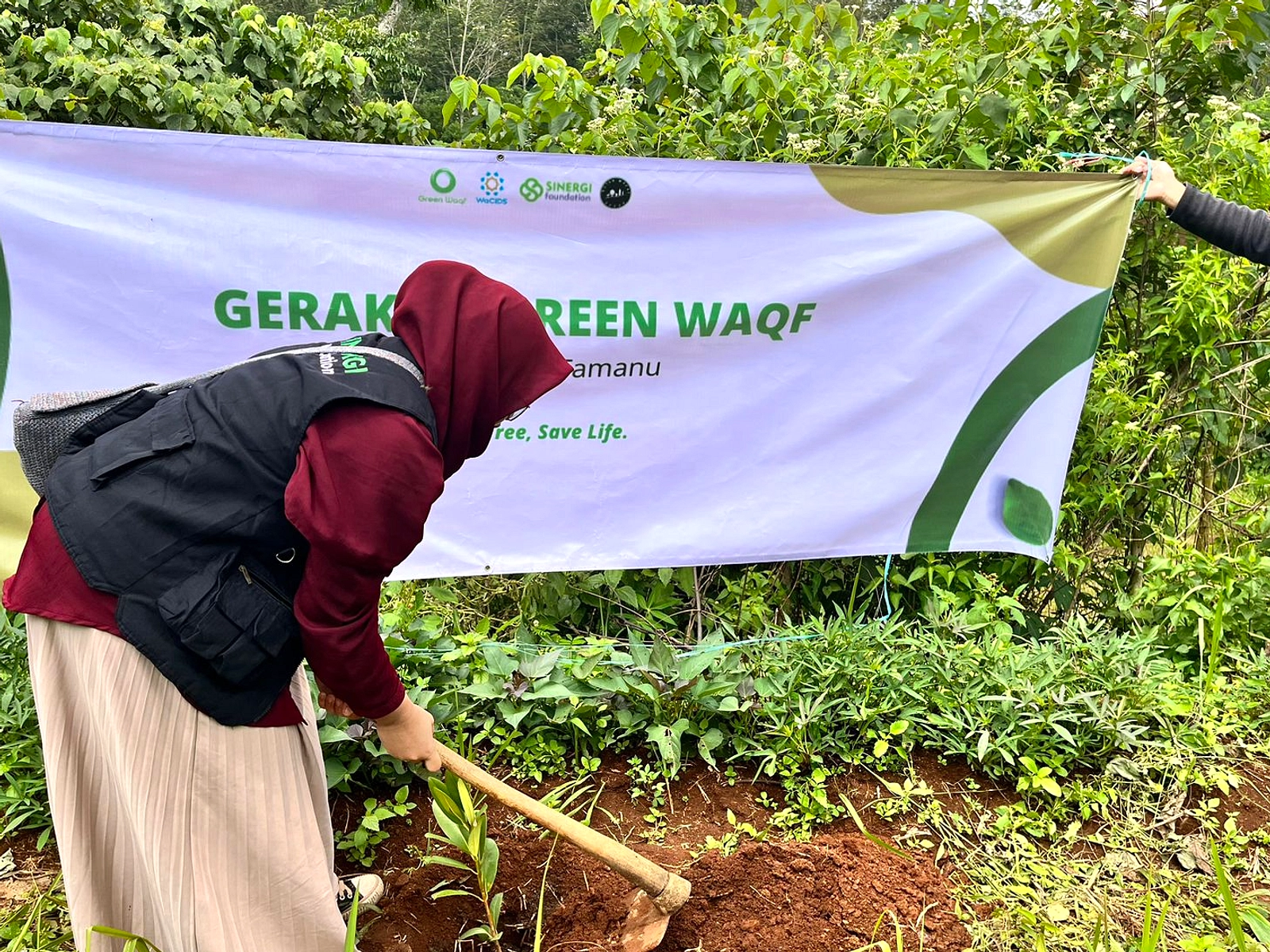 KLH Luncurkan Gerakan Tobat Ekologis, Target Tanam 2 Miliar Pohon