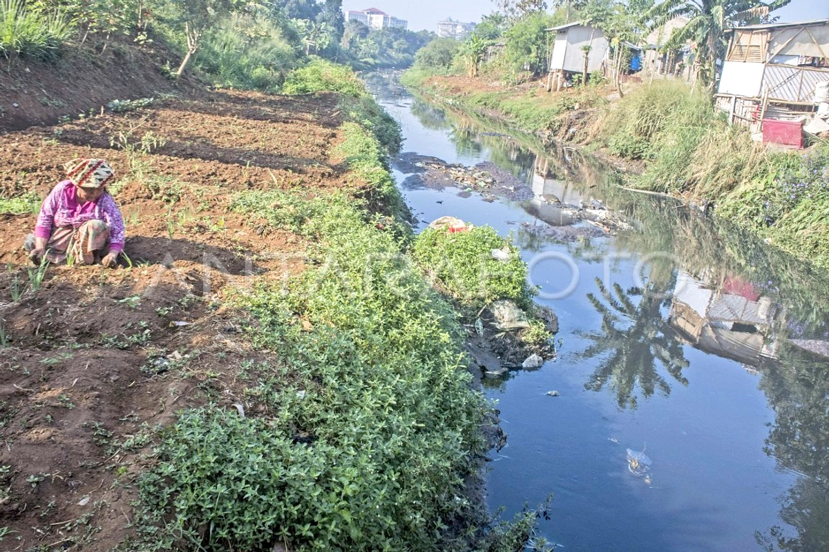 Kondom Bocor di Sungai Bandung: KPA Tegaskan Cara Benar Buang
