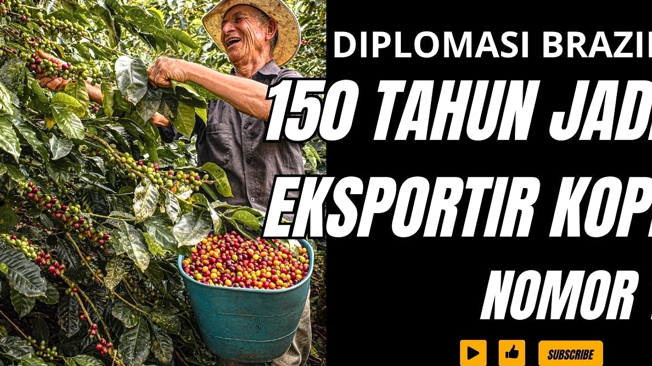 Kopi Brasil: Dari Buket Bunga hingga Ekspor Terbesar Dunia