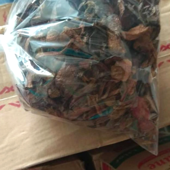 Kulat Pelawan Bangka: Jamur Langka, Harga Rp4 Juta/kg