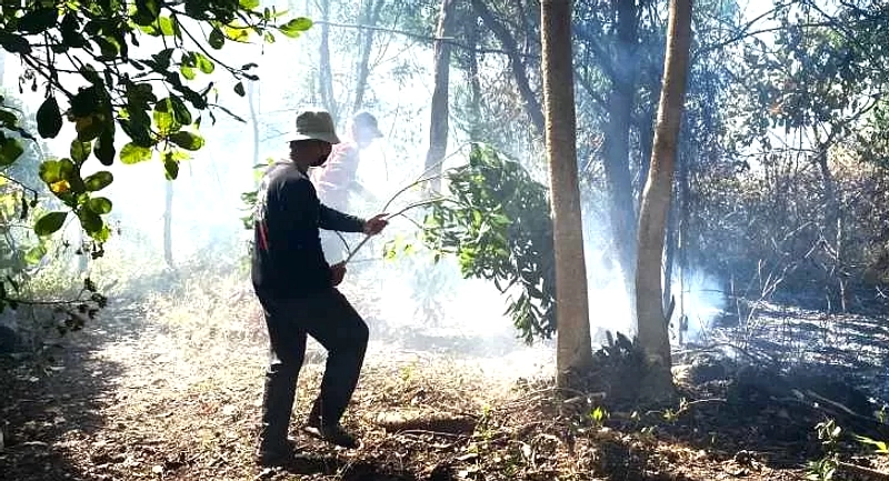 Lahan 4 Hektar di Karangasem Hangus Terbakar, Sempat Dekat Pemukiman