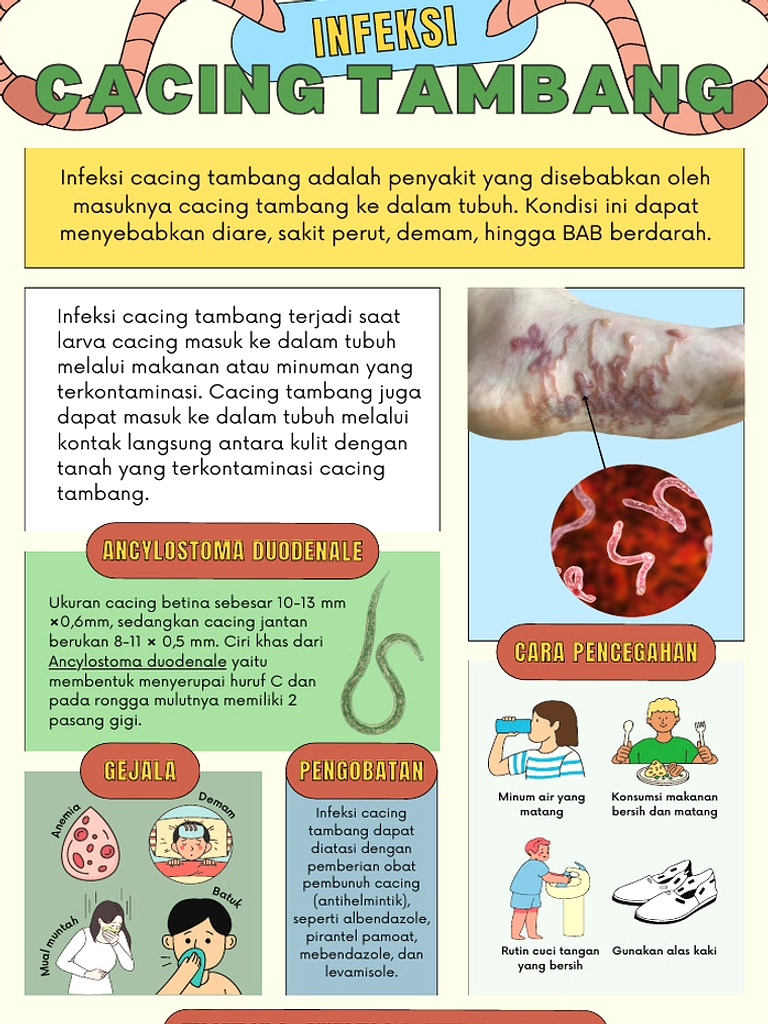 Lalat Parasit Baru Menyerang Sapi di Texas, Dampak Ekonomi