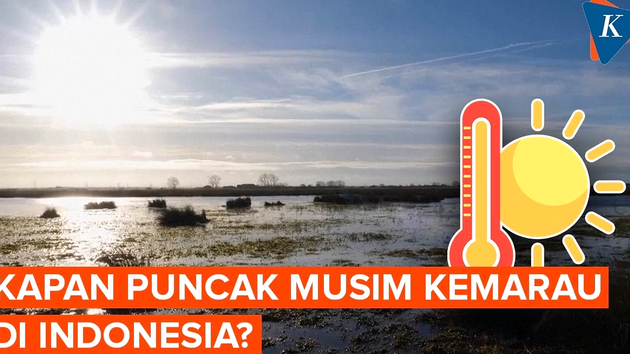 Lamongan Siap Puncak Suhu 35°C Musim Kemarau, Warga Pekerja Peringatan