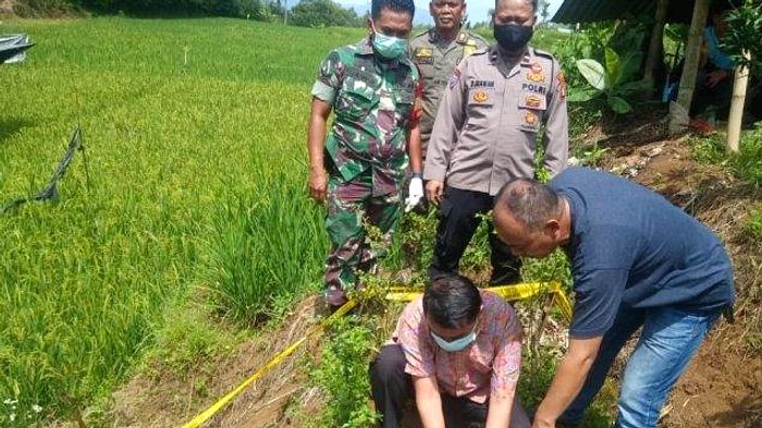 Lansia Surabaya hidup di persawahan Lamongan, ODGJ salah