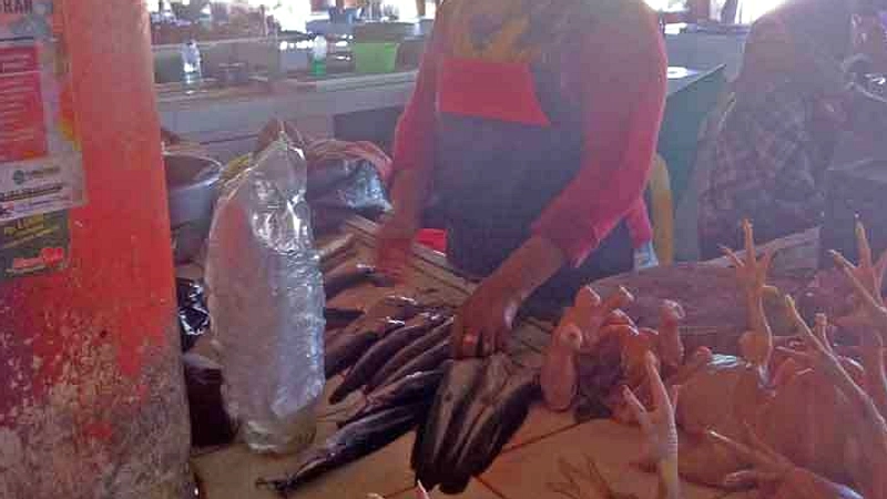 Lele dan Ikan Lain: Pilihan Murah, Nutrisi Tinggi Serta