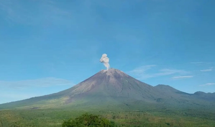 Letusan Semeru Pagi: Kolom Abu 1.000m, Peringatan 13 km