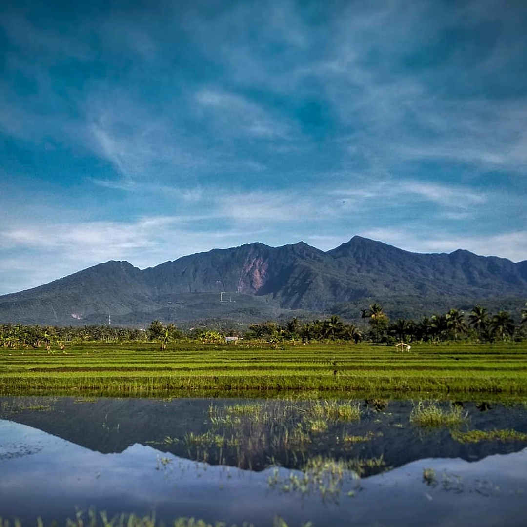 Liburan Sekolah, Anak-Anak di Tasikmalaya Pilih Main di Sawah