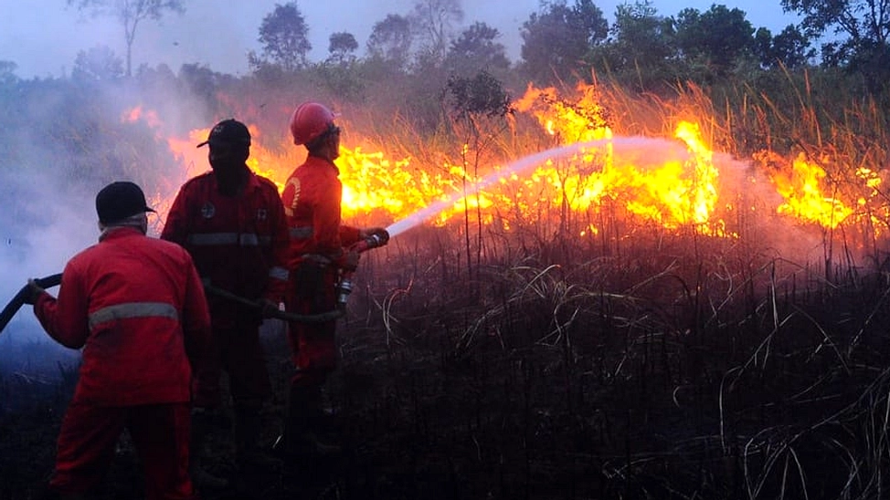Lima Kabupaten Sumsel Masuk Zona Merah Karhutla