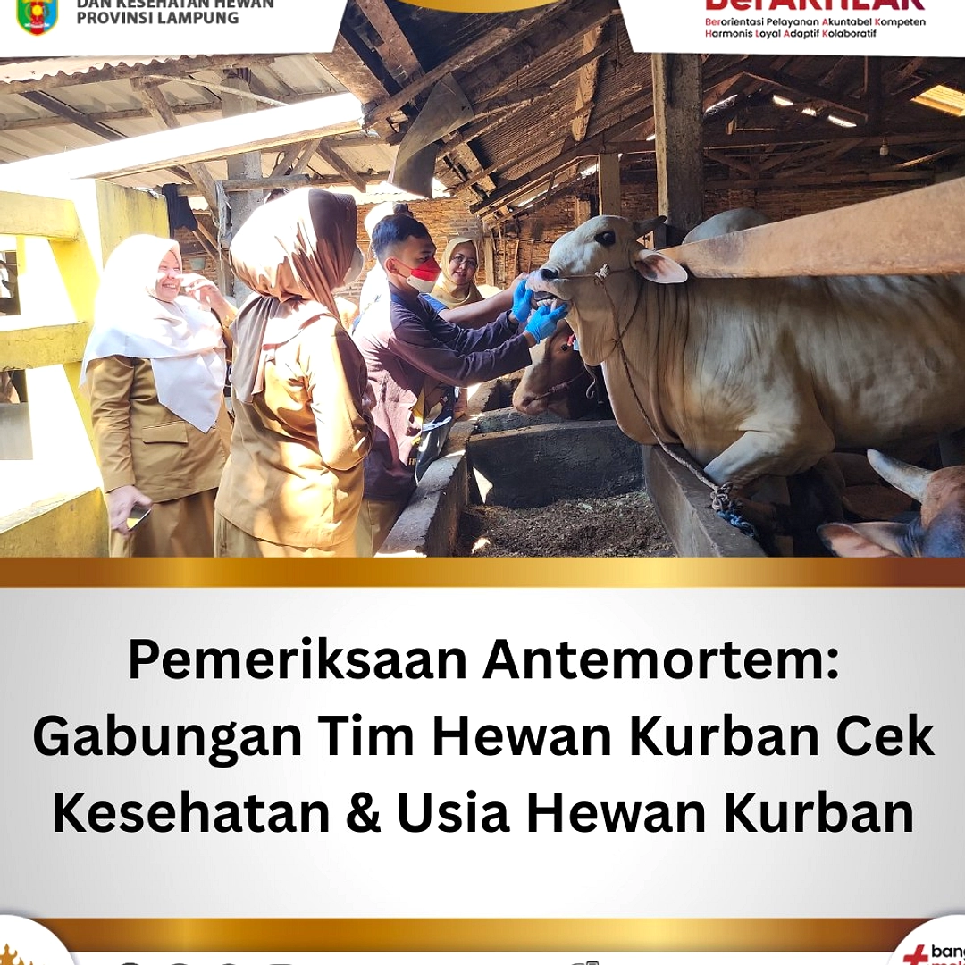 Lubuklinggau Siapkan Pemeriksaan Kesehatan Hewan Kurban 2026