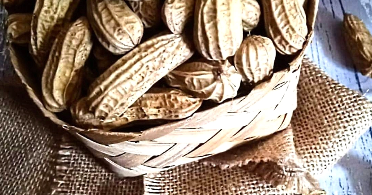 Mahri, 73 Tahun, Jual Kacang Rebus di Jalanan Bandung