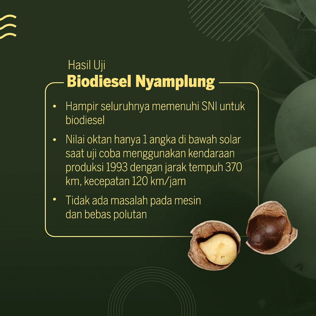 Maudy Ayunda Ajukan Paten Inovasi dari Tanaman Nyamplung